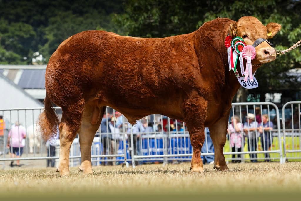 Royal Welsh Show 2026