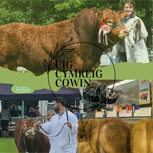 Win a Ticket to the Royal Welsh Show 2026!